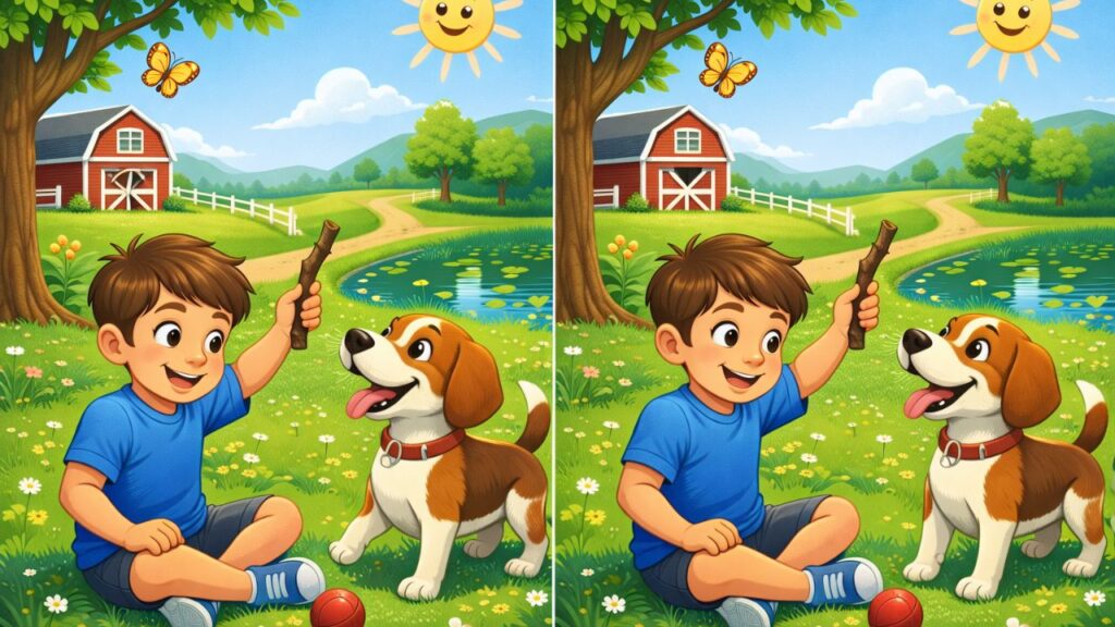 Find 3 Hidden Differences