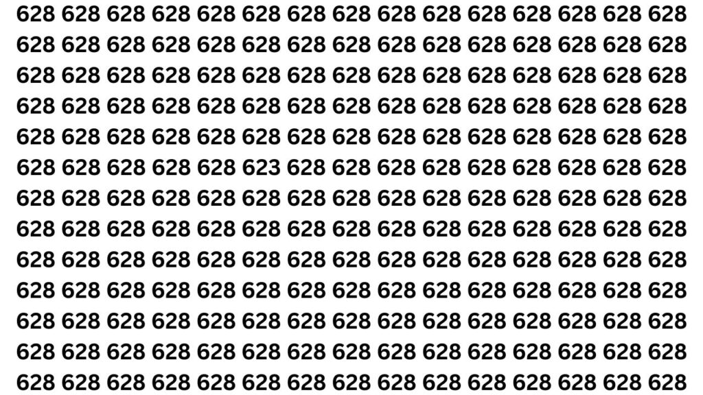 Optical Illusion Challenge