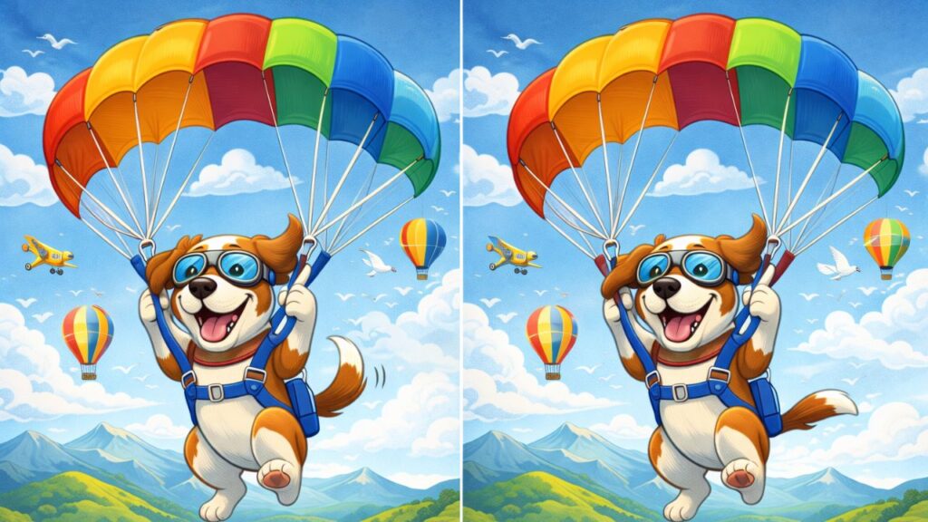 Spot 3 Differences