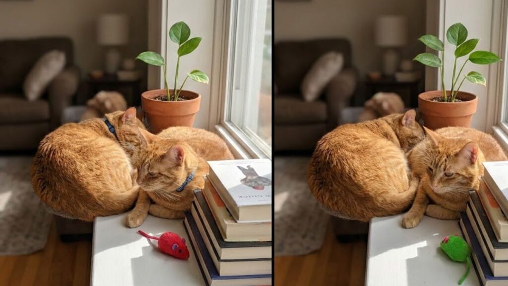 Spot the Difference Game: