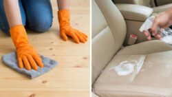 No vinegar or baking soda needed: the trick to cleaning your car seats and removing the toughest stains