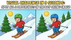 Visual Challenge in 9 Seconds Spot All 3 Differences in the Boy Skiing Image